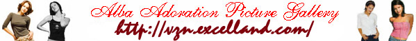 AA Banner